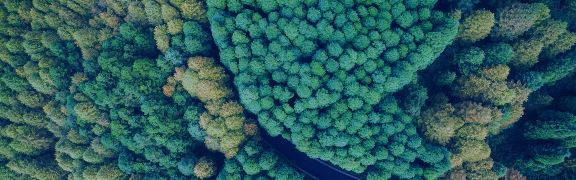 誠(chéng)信為本，不忘初心