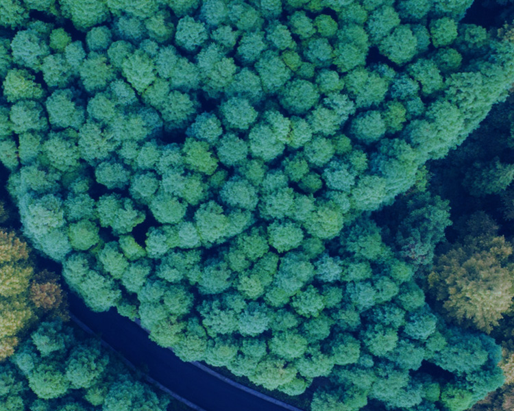 誠(chéng)信為本，不忘初心